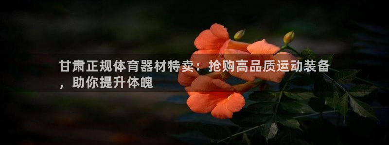 耀世平台注册流程视频：甘肃正规体育器材特卖：抢购高品