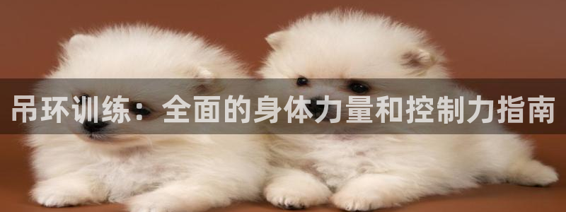 耀世平台佳 5O6917 耀世：吊环训练：全面的身体