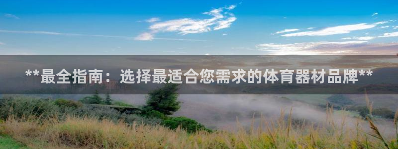 耀世平台的运营模式分析：**最全指南：选择最适合您需