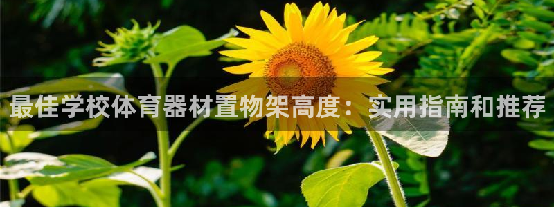 耀世平台会员中心在哪：最佳学校体育器材置物架高度：实