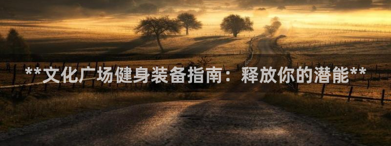 耀世娱乐在线登录官网入口手机版：**文化广场健身装备