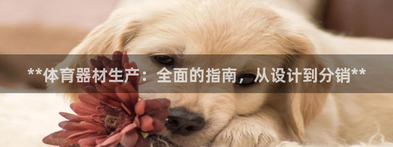 耀世登场：**体育器材生产：全面的指南，从设计到分销