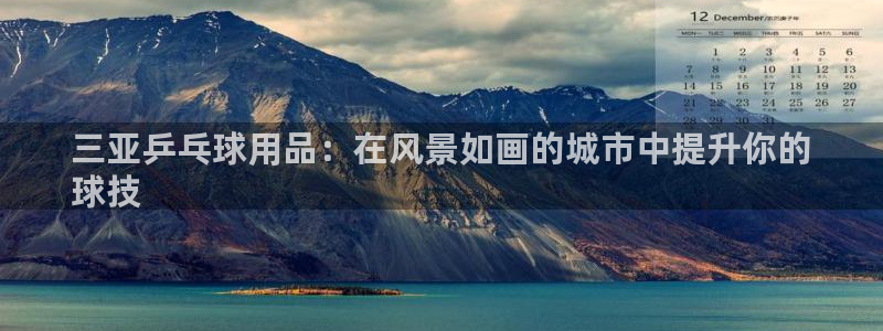 耀世游戏：三亚乒乓球用品：在风景如画的城市中提升你的