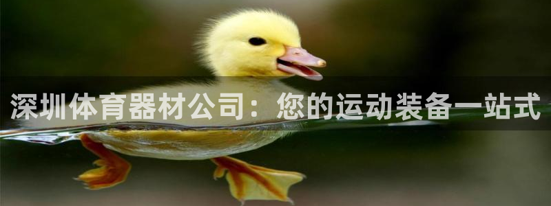 耀世娱乐佳 5O6917 娱乐：深圳体育器材公司：您