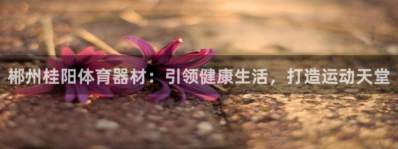 耀世娱乐辅助软件下载：郴州桂阳体育器材：引领健康生活