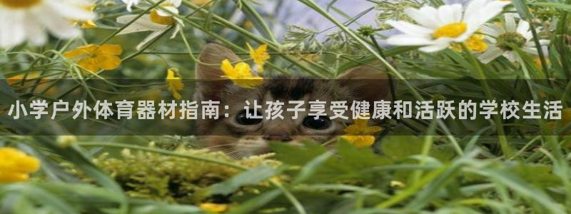 耀世平台注册网址是多少啊：小学户外体育器材指南：让孩