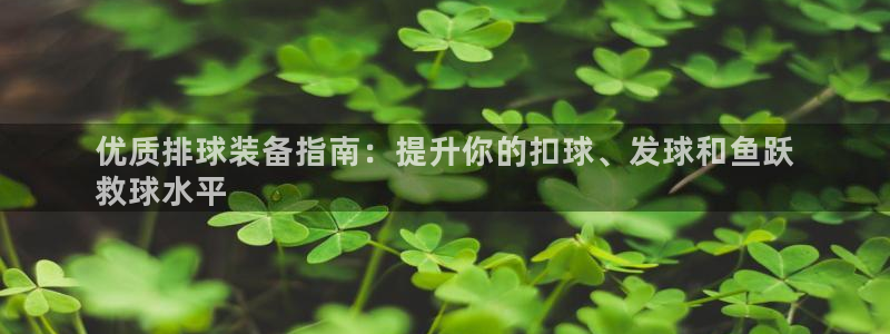耀世天下搭配一个图片：优质排球装备指南：提升你的扣球