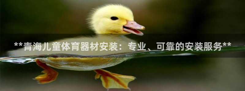 耀世平台代理多少钱一次：**青海儿童体育器材安装：专