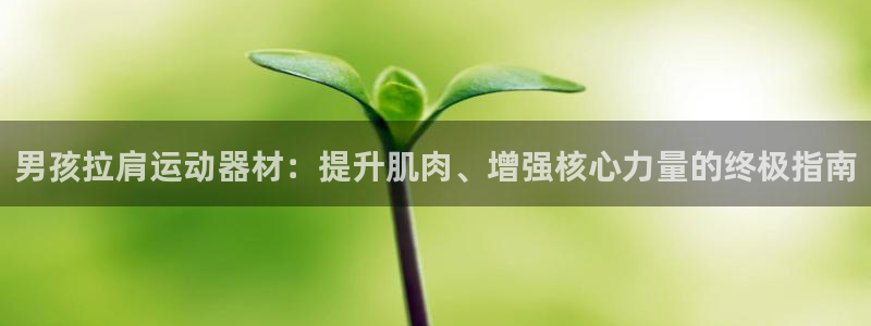 耀世平台招商：男孩拉肩运动器材：提升肌肉、增强核心力