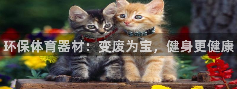耀世平台官方网站：环保体育器材：变废为宝，健身更健康