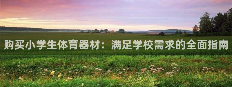 耀世娱乐赢咖6代理：购买小学生体育器材：满足学校需求