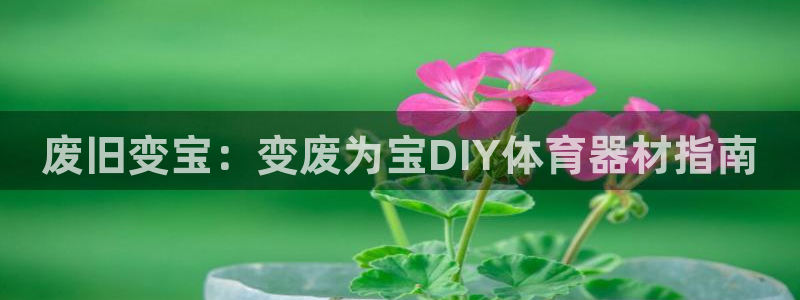 耀世启航什么意思：废旧变宝：变废为宝DIY体育器材指