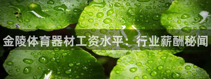 耀世天下的微信名字好吗：金陵体育器材工资水平：行业薪