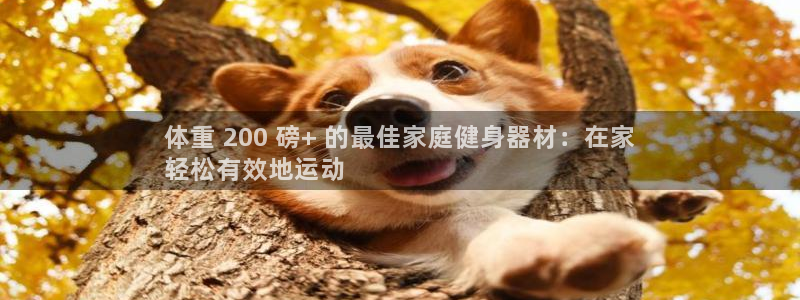 耀世集团罗文斌：体重 200 磅+ 的最佳家庭健身器