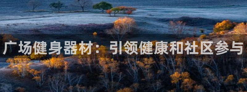 耀世娱乐注册开户流程：广场健身器材：引领健康和社区参