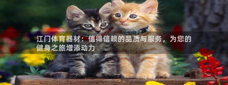 耀世娱乐登陆官网下载：江门体育器材：值得信赖的品质与