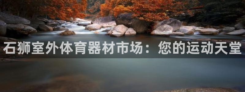耀世娱乐辅助：石狮室外体育器材市场：您的运动天堂