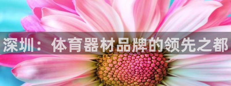 耀世娱乐软件下载官网：深圳：体育器材品牌的领先之都