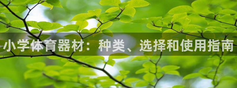 耀世平台负责人：小学体育器材：种类、选择和使用指南