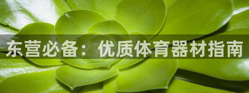 耀世平台推 411o31 耀世：东营必备：优质体育器