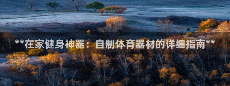 耀世娱乐在线登录官网入口下载：**在家健身神器：自制