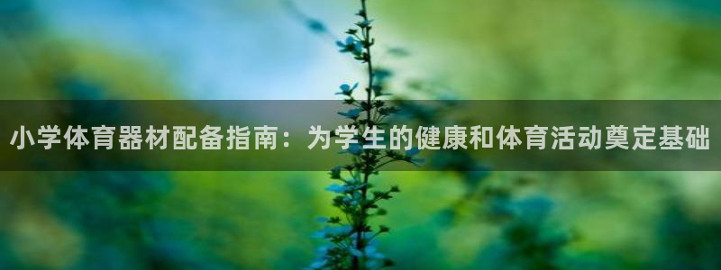耀世娱乐升 5O6917 娱乐：小学体育器材配备指南