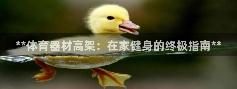 耀世平台登录地址：**体育器材高架：在家健身的终极指