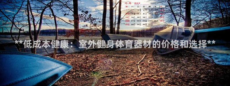 耀世娱乐提款多久到账户：**低成本健康：室外健身体育
