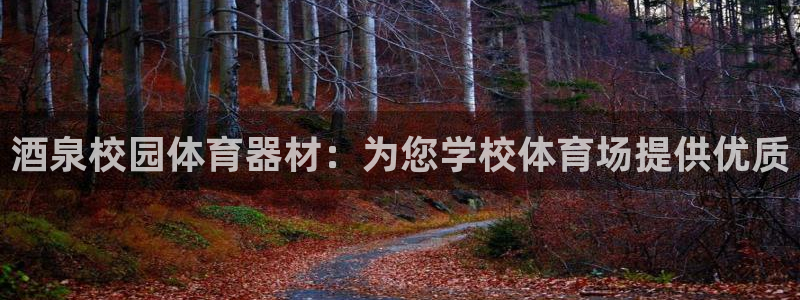 耀世娱乐脚本不死挂机：酒泉校园体育器材：为您学校体育