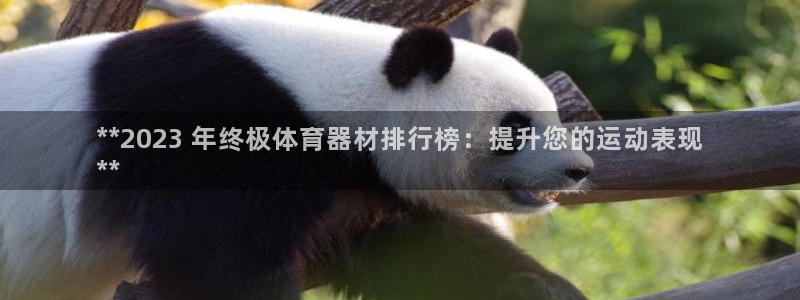 耀世圣主：**2023 年终极体育器材排行榜：提升您