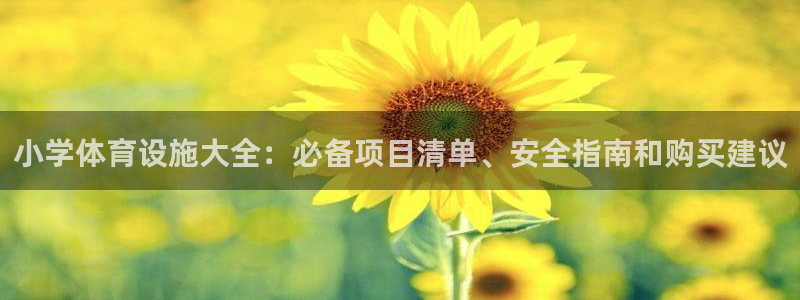 耀世微光曲谱：小学体育设施大全：必备项目清单、安全指