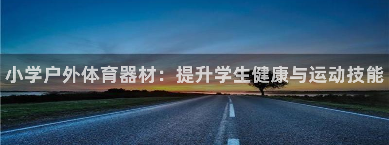 耀世第三关怎么过：小学户外体育器材：提升学生健康与运