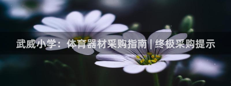 耀世集团董事长：武威小学：体育器材采购指南 | 终极