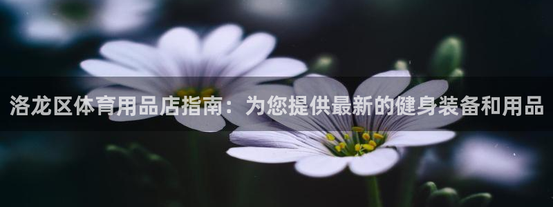 耀世集团是什么电影里的人物：洛龙区体育用品店指南：为