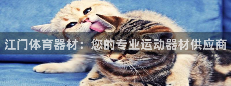 耀世集团王大聪简介：江门体育器材：您的专业运动器材供