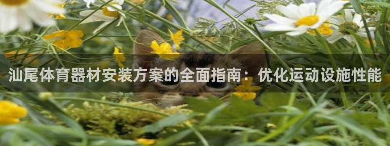 耀世平台有很多登录地址：汕尾体育器材安装方案的全面指