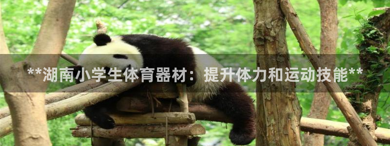 耀世而生：**湖南小学生体育器材：提升体力和运动技能