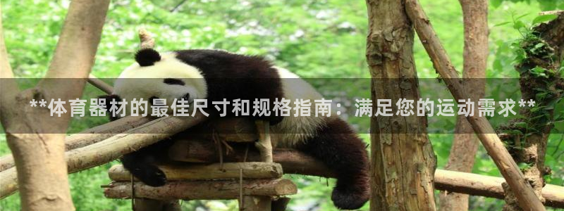 耀世娱乐下载最新版本安装教程：**体育器材的最佳尺寸