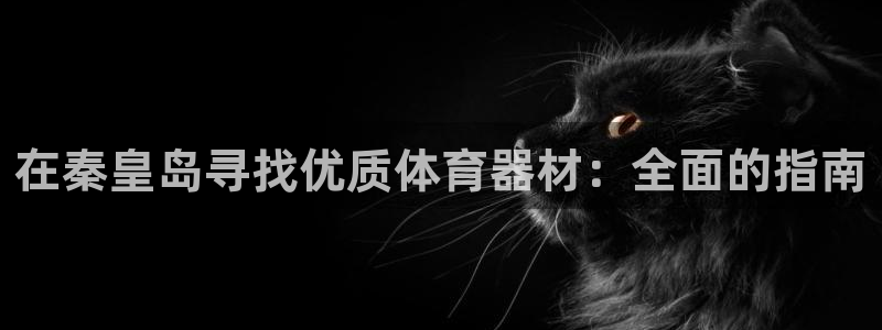 耀世娱乐登陆官网入口：在秦皇岛寻找优质体育器材：全面