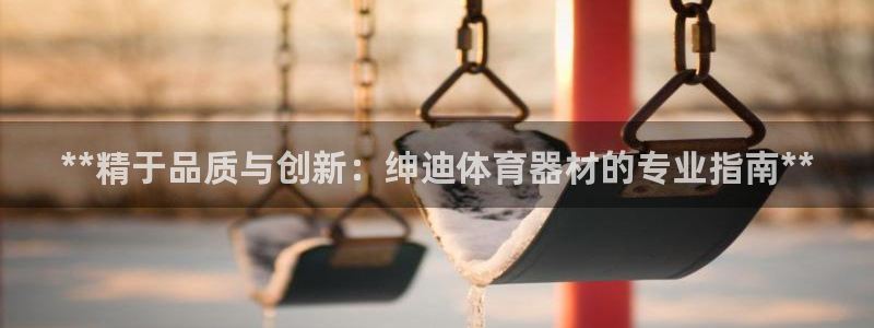 耀世盛启什么意思：**精于品质与创新：绅迪体育器材的