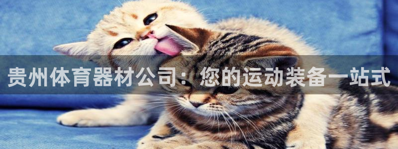 耀世娱乐圈主管：贵州体育器材公司：您的运动装备一站式