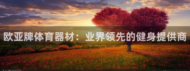 耀世娱乐客服电话号码：欧亚牌体育器材：业界领先的健身提供商