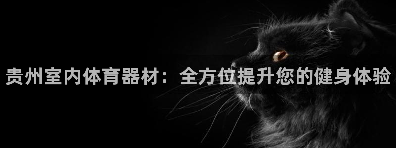 耀世平台代理多少钱：贵州室内体育器材：全方位提升您的