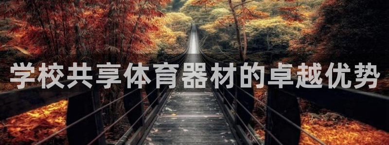 耀世娱乐官方网站入口：学校共享体育器材的卓越优势