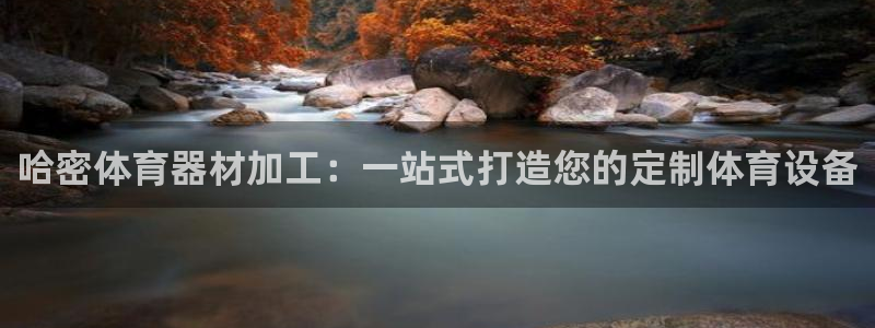 耀世平台有很多登录地址怎么办：哈密体育器材加工：一站