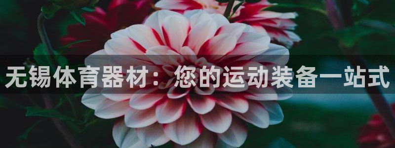 哪吒s耀世版价格：无锡体育器材：您的运动装备一站式