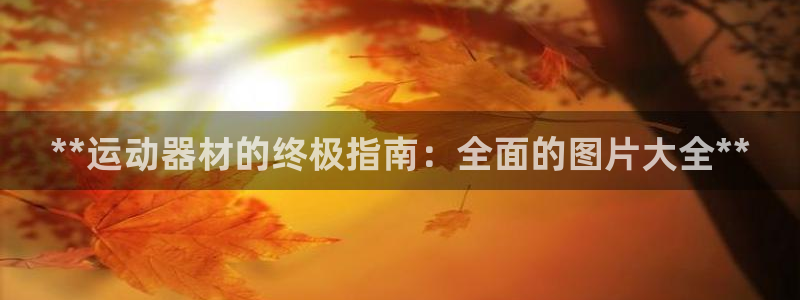 耀世娱乐含山设备：**运动器材的终极指南：全面的图片