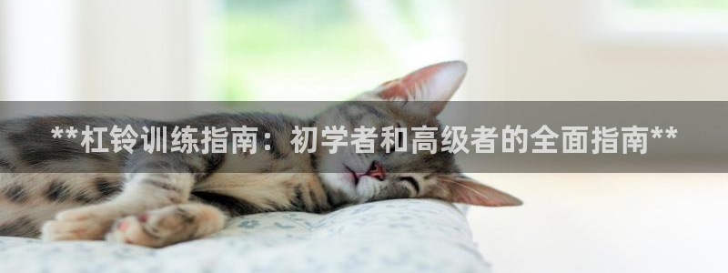 耀世娱乐怎么注册会员：**杠铃训练指南：初学者和高级