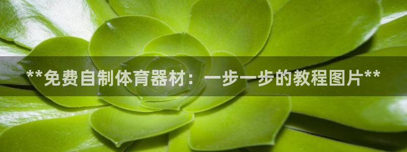 耀世微光mv：**免费自制体育器材：一步一步的教程图
