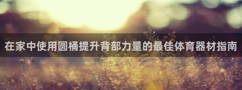 耀世影视：在家中使用圆桶提升背部力量的最佳体育器材指